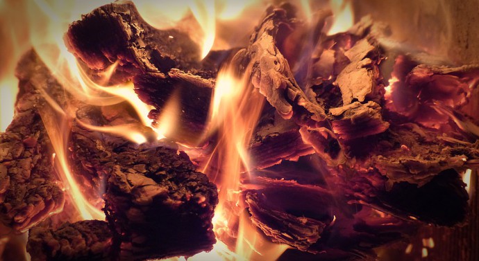 Le chauffage au bois : quel type de bois ?