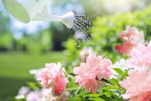 Un arrosoir de jardin