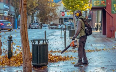 Les avantages et inconvénients d’une souffleuse à feuilles.