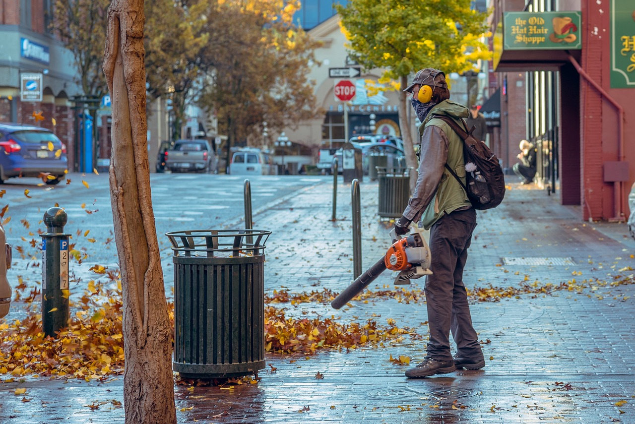 J'en peux plus des souffleurs de feuilles, utilisés même quand il n'y a pas  de feuilles !