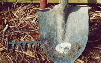 Les critères pour choisir une pelle de jardinage.