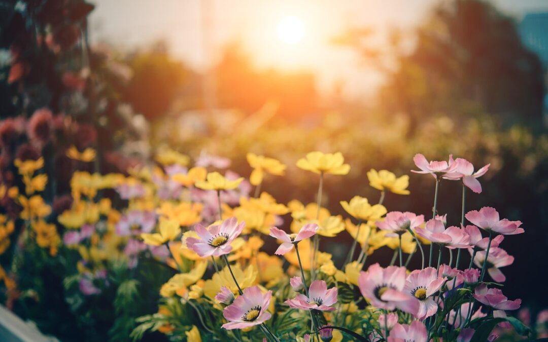 Les essentiels pour bien entretenir votre jardin.
