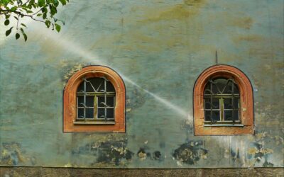 L’importance de la luminosité dans l’agencement des couleurs dans une maison