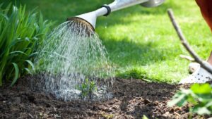 Arrosage du jardin