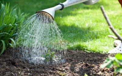 Arrosage optimal : Comment choisir le système qui convient le mieux à votre jardin avec Gardena, Rain Bird, etc.
