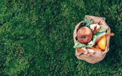 Compostage efficace : Les secrets d’un composteur qui fonctionne à merveille