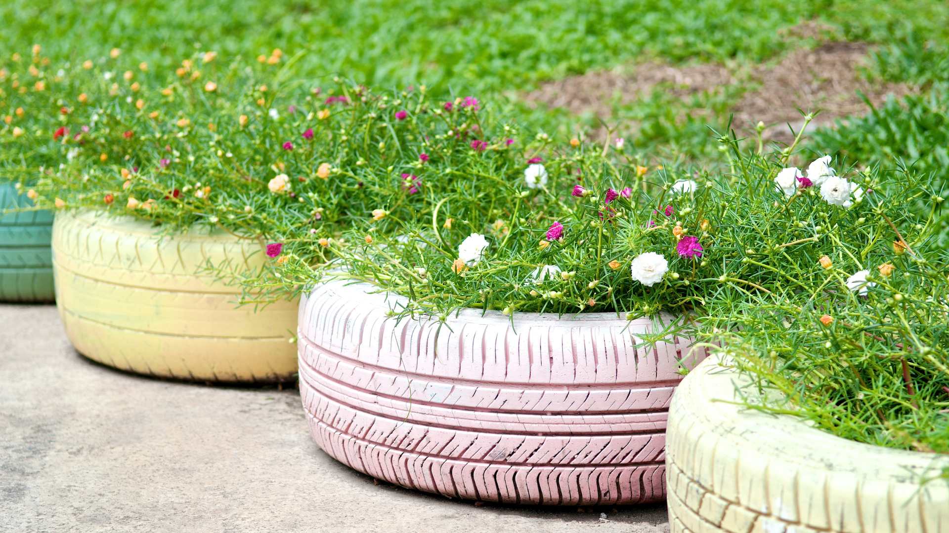 Jardinière avec des pneus recycler