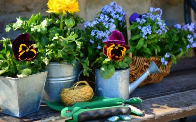 Mon avis sur les meilleures pratiques de jardinage : Astuces et conseils essentiels