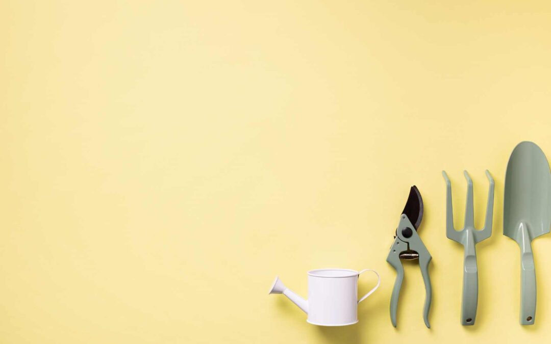 Équipement de pointe : Les accessoires de jardinage qui facilitent la vie