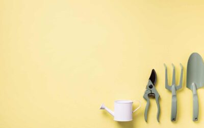 Équipement de pointe : Les accessoires de jardinage qui facilitent la vie