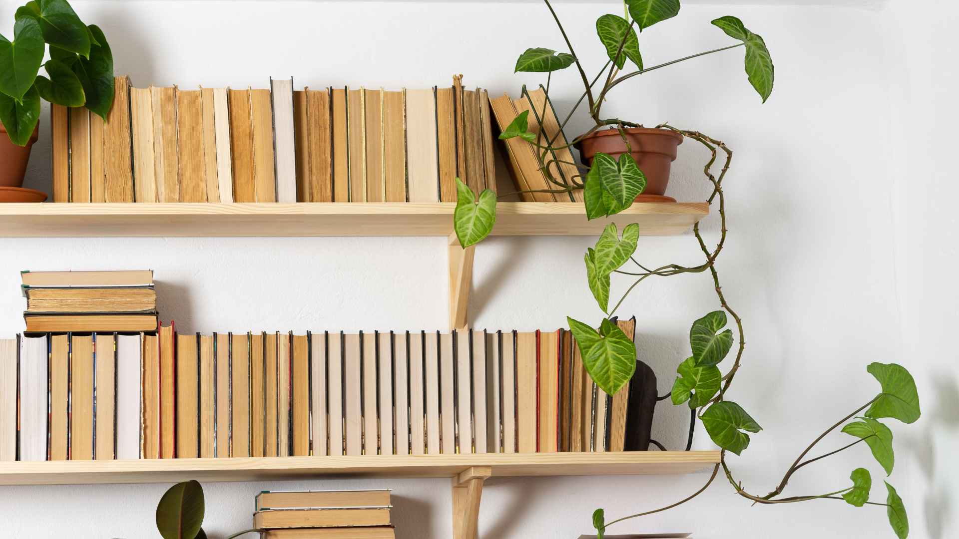 Rangement étagère