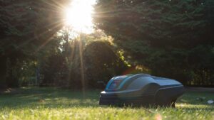 Robot tondeuse dans un jardin