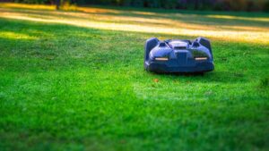 Robot tondeuse dans un jardin