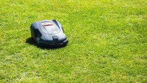 Robot tondeuse dans un jardin