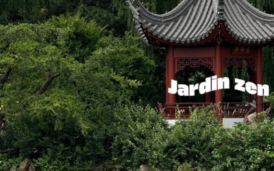 Jardin zen : Créer un havre de paix dans votre espace extérieur