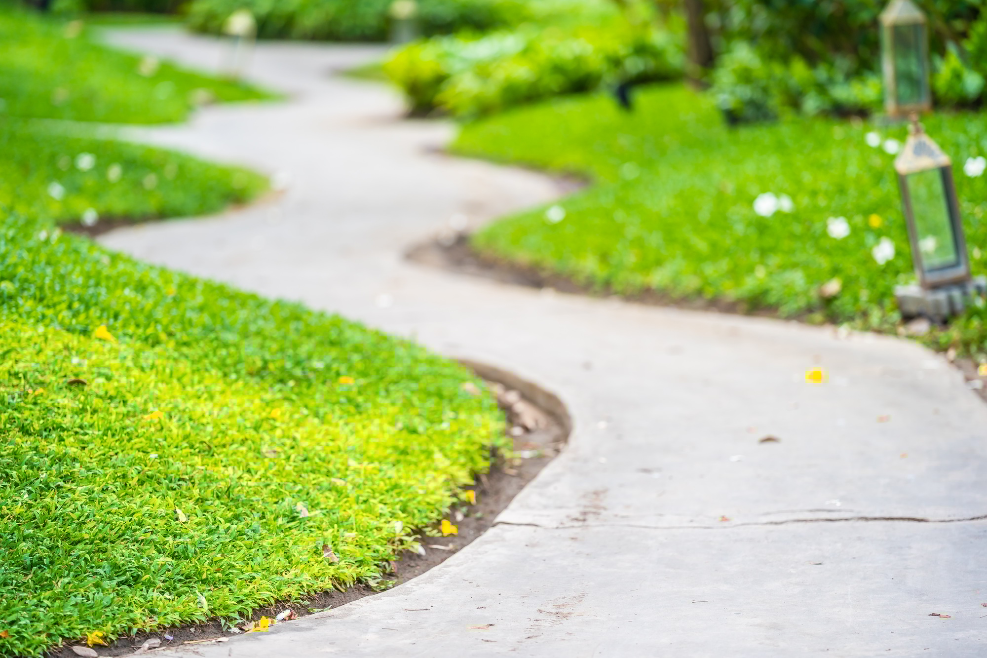 allee jardin